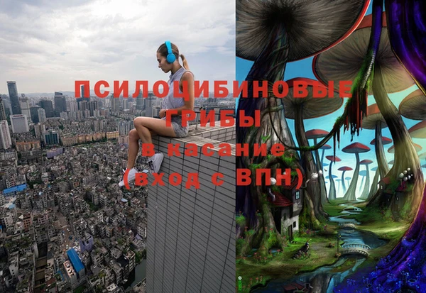 дурь Арсеньев